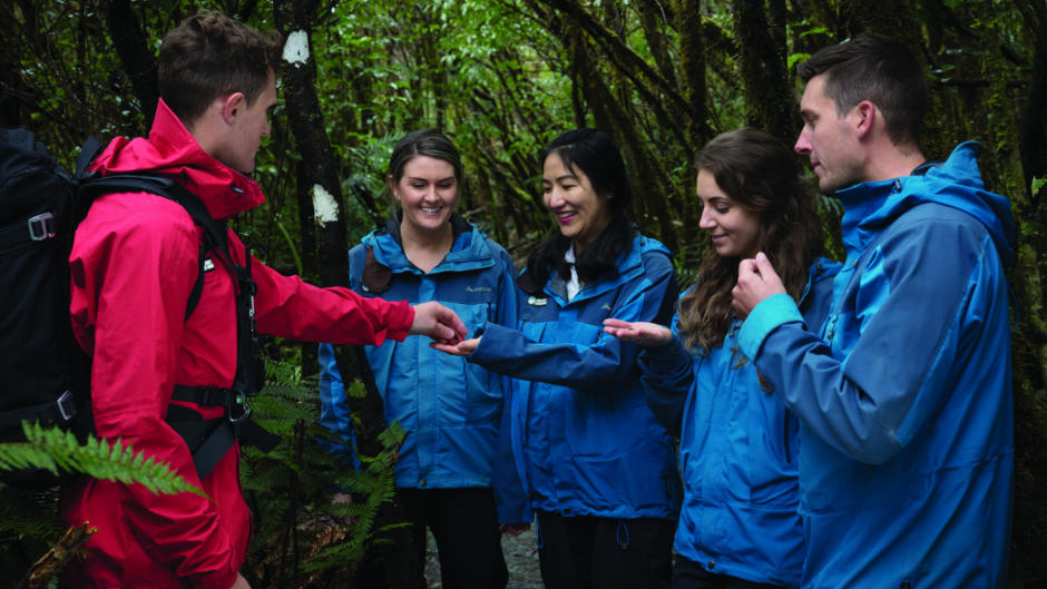 Embark on a guided journey through the iconic Franz Josef Glacier Valley to discover its remarkable landscape and fascinating history - a NZ must do! 


